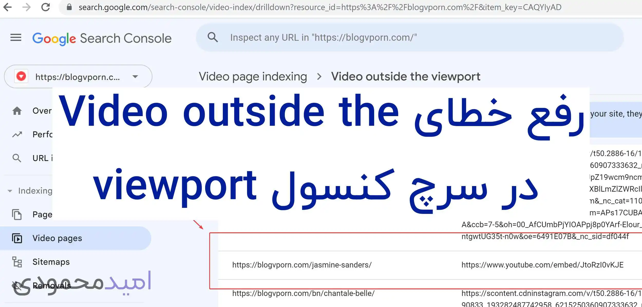 رفع خطای سرچ کنسول (Video outside the viewport)